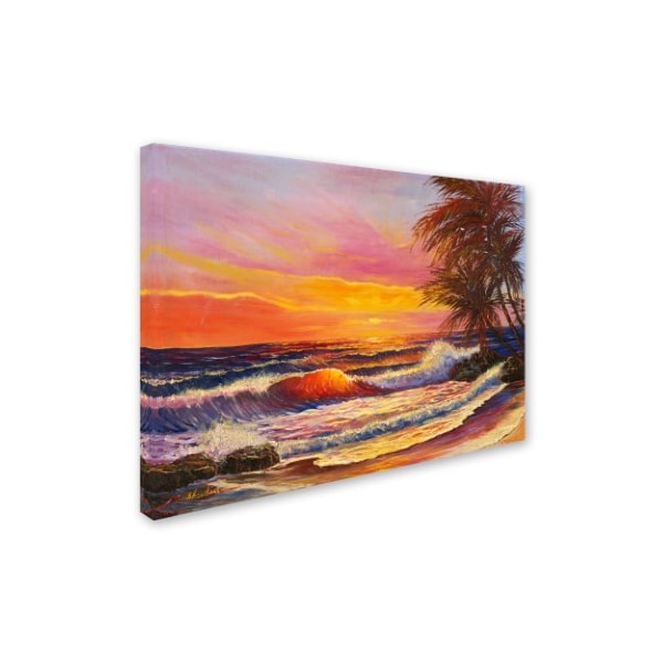 Manor Shadian 'Hawaiian Glow' Canvas Art,24x32